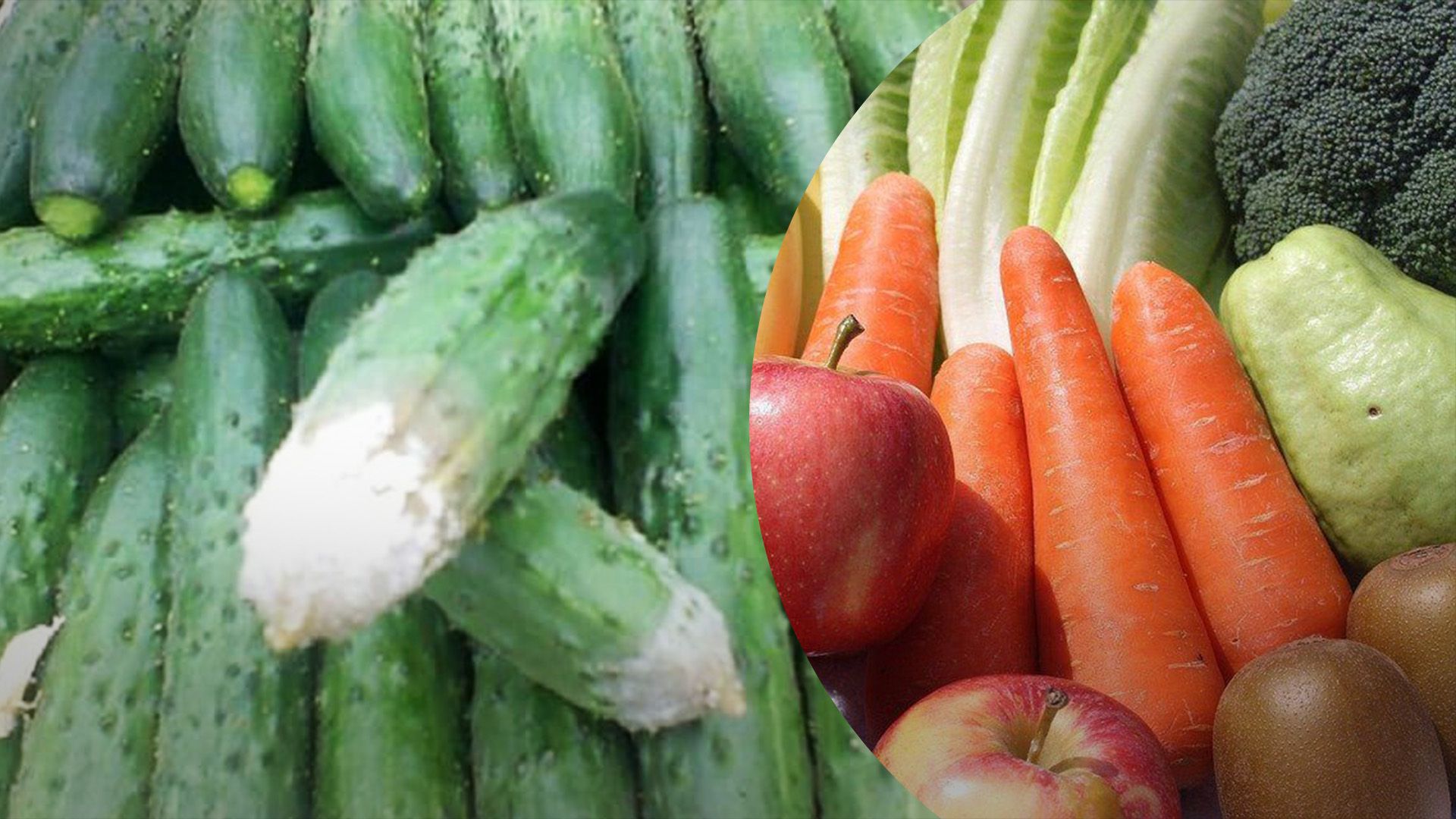 В Украине много овощей и фруктов гниют после сбора В Украине много овощей и фруктов гниют после сбора