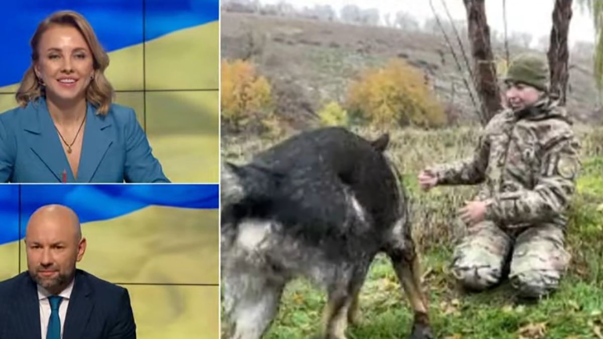 Кумедний момент зі службовим собакою розсмішив глядачів в ефірі телемарафону Кумедний момент зі службовим собакою розсмішив глядачів в ефірі телемарафону