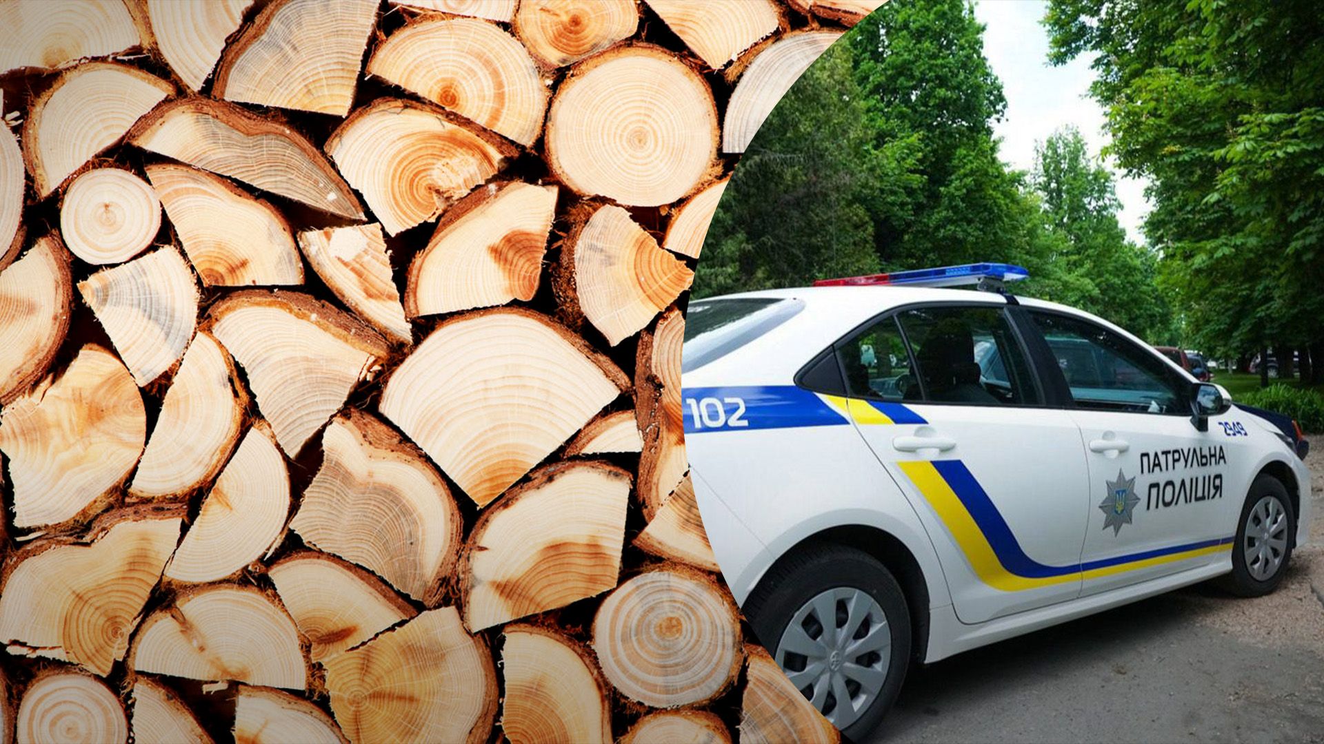 Чи штрафуватимуть за старі дрова Чи штрафуватимуть за старі дрова