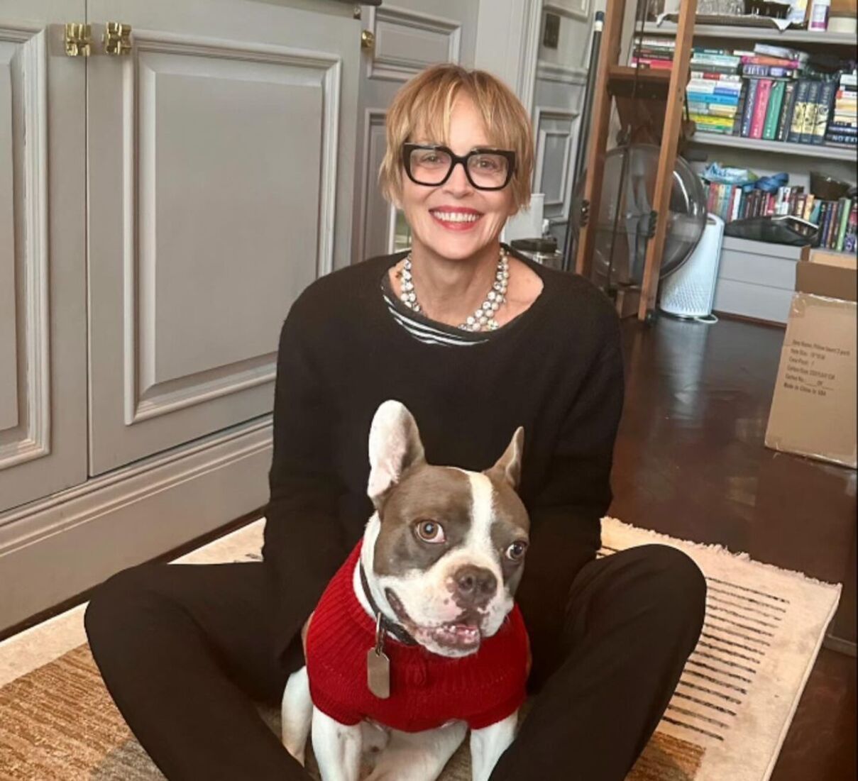 Шерон Стоун облаштувала неймовірну вітальню - які кольори обрала зірка - Нерухомість Шерон Стоун облаштувала неймовірну вітальню - які кольори обрала зірка - Нерухомість