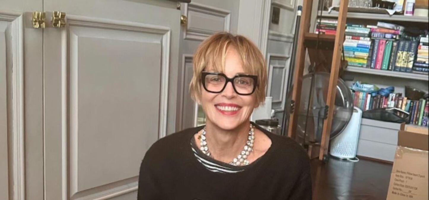 Шэрон Стоун обустроила невероятную гостиную - какие цвета выбрала звезда - Недвижимость Шэрон Стоун обустроила невероятную гостиную - какие цвета выбрала звезда - Недвижимость