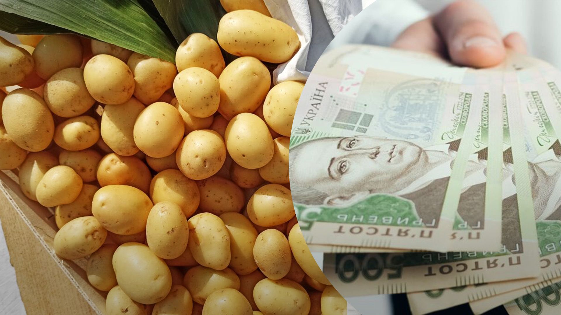 Сколько картофель стоит в магазине Сколько картофель стоит в магазине