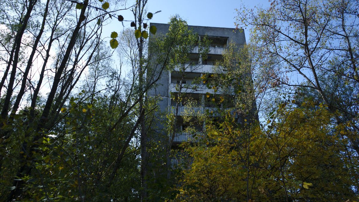 Доплата до пенсій чорнобильцям Доплата до пенсій чорнобильцям