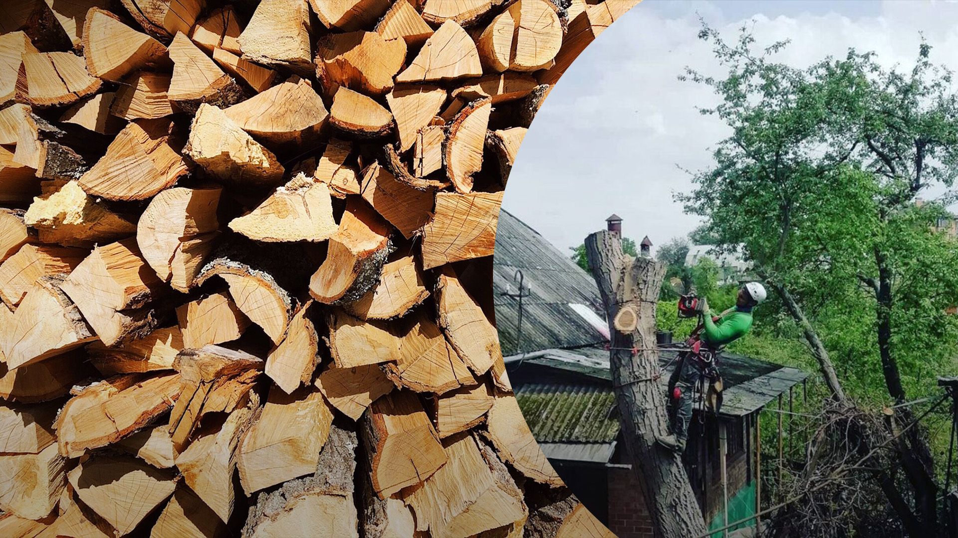 Будет ли штраф за дрова из своих деревьев Будет ли штраф за дрова из своих деревьев