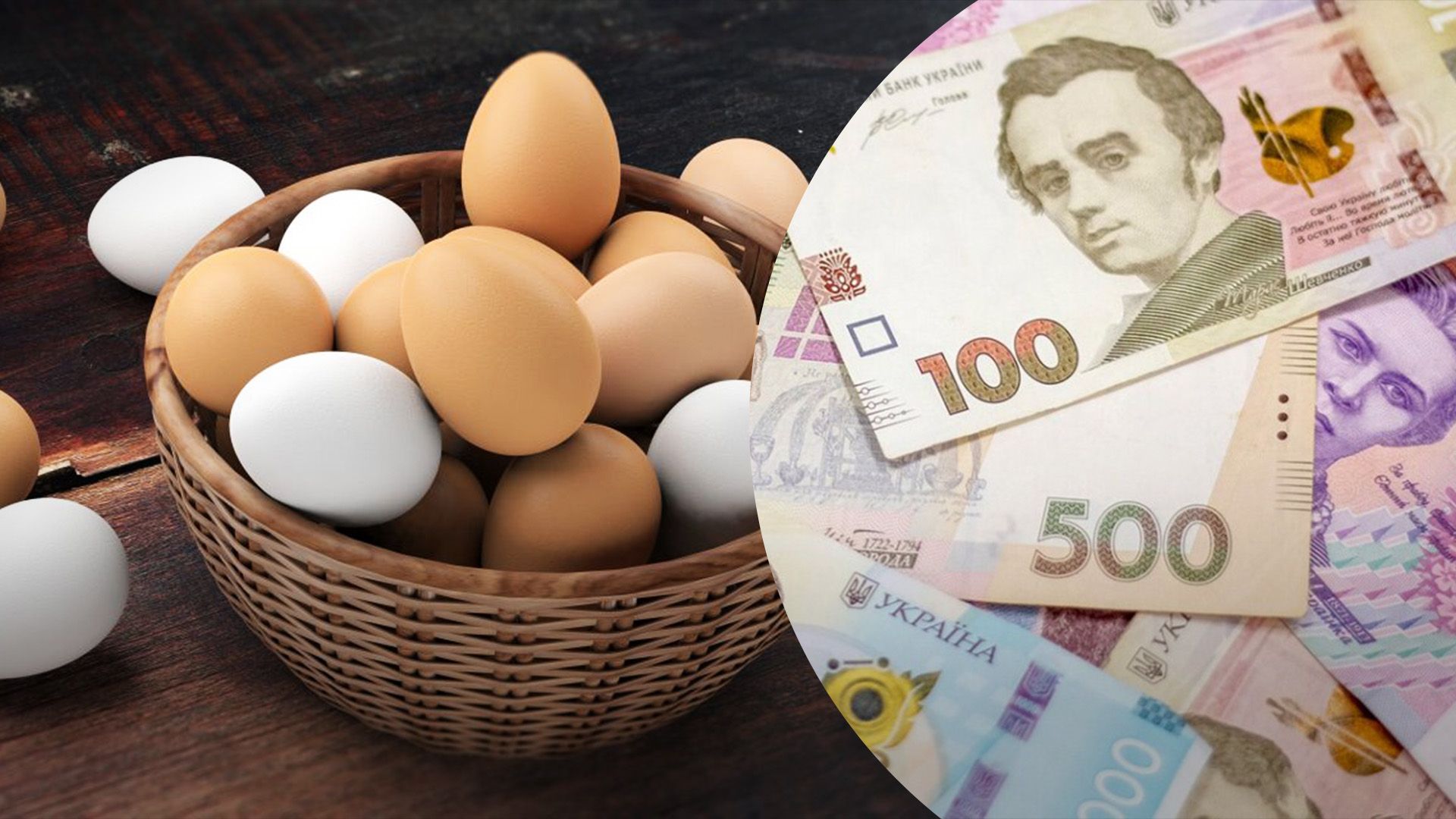 Скільки яйця коштують у магазинах Скільки яйця коштують у магазинах