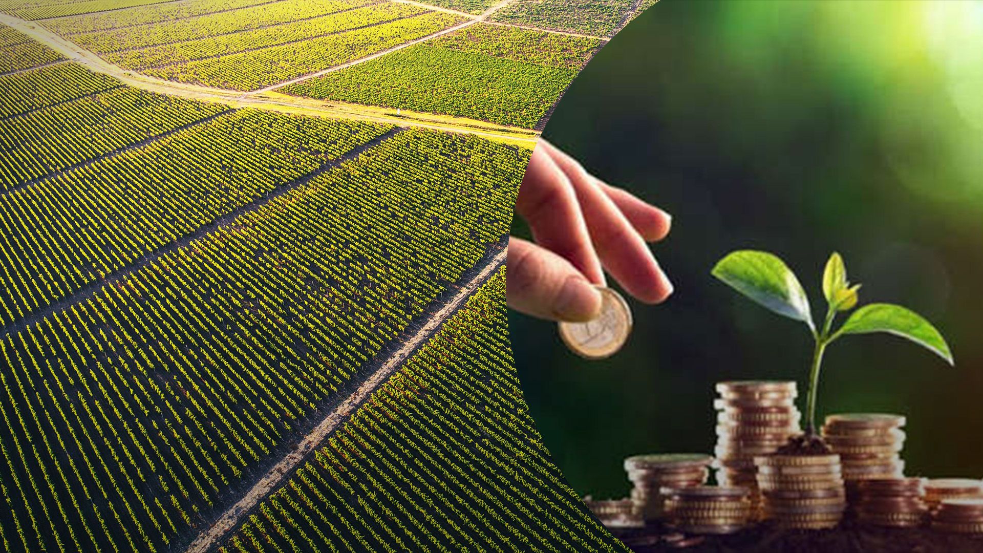 Земельний податок у 2024 році Земельний податок у 2024 році