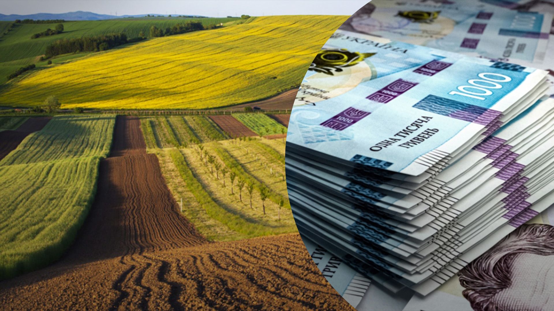 Какова стоимость земли в ноябре Какова стоимость земли в ноябре