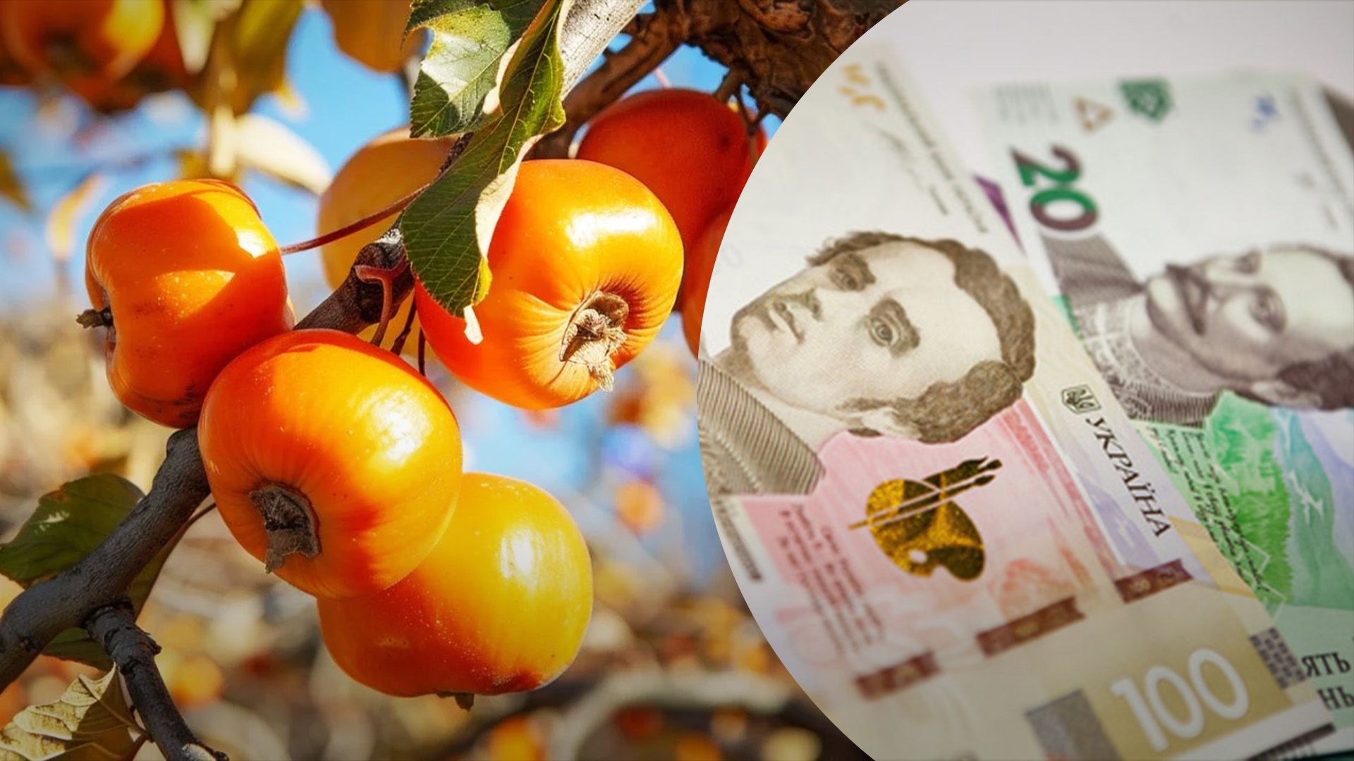 Хурма дорожает на базарах Хурма дорожает на базарах