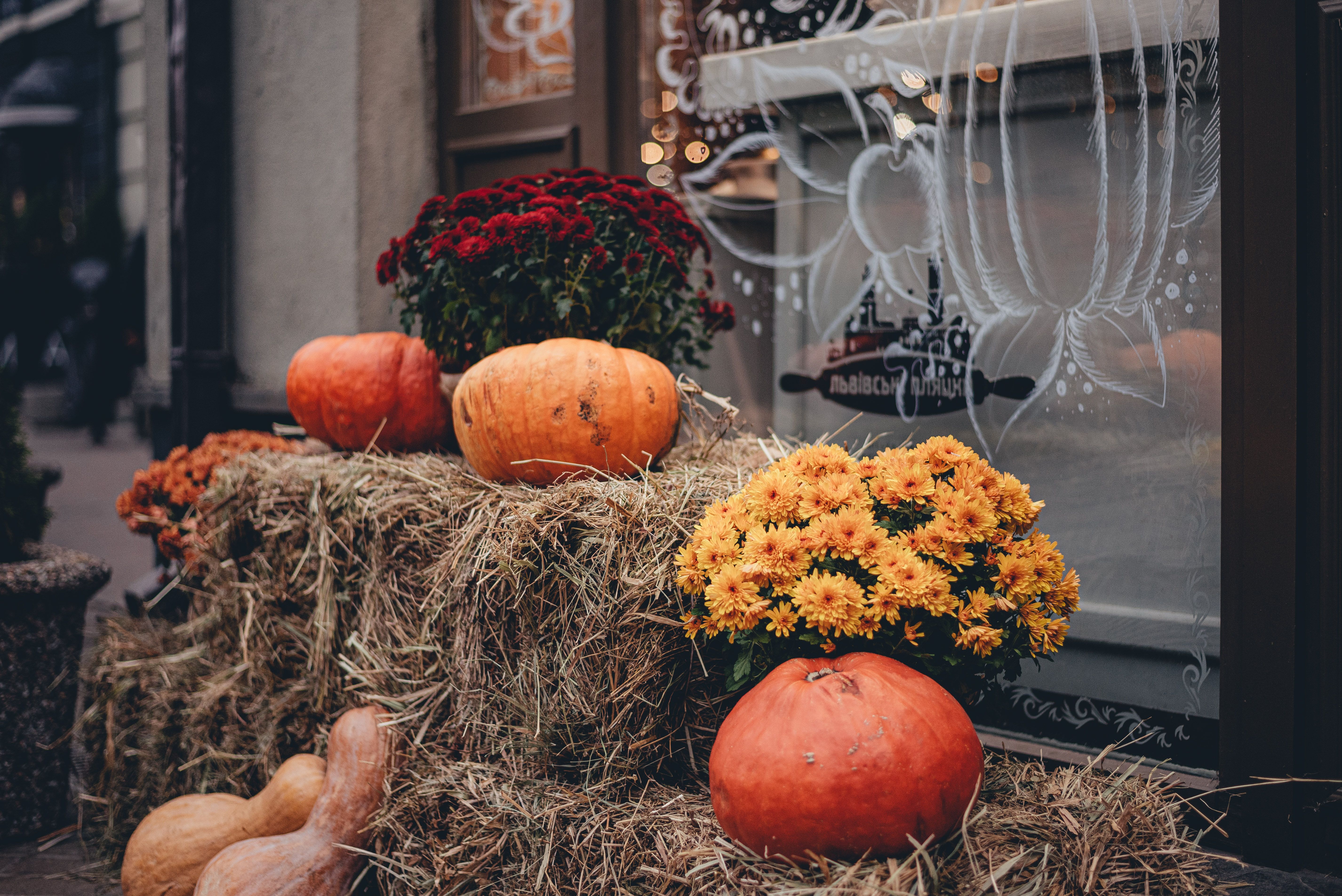 Погода в Україні Погода в Україні