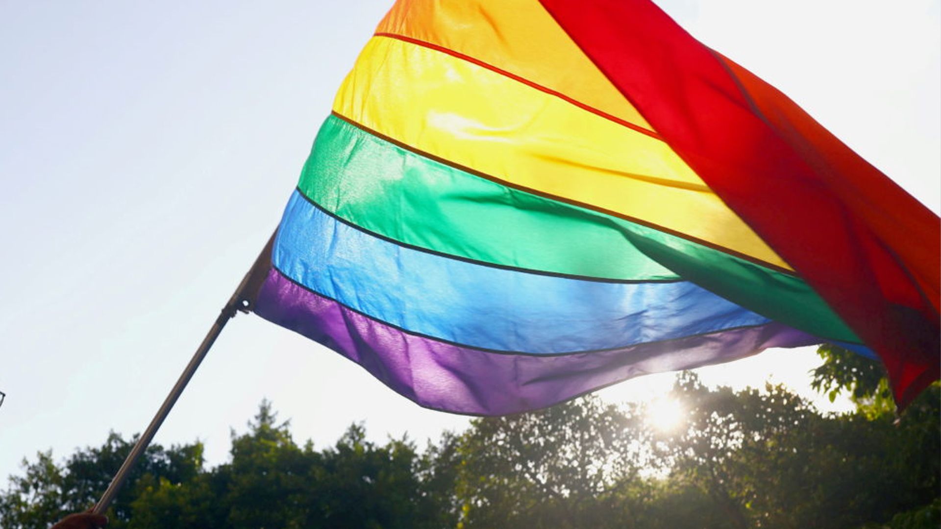 ЛГБТК+ флаг ЛГБТК+ флаг