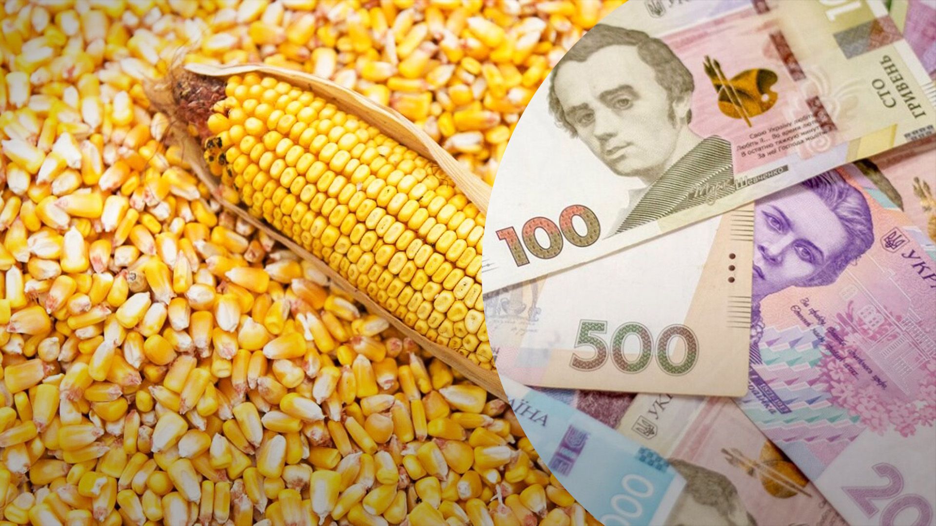 Экспортная кукуруза подешевела Экспортная кукуруза подешевела