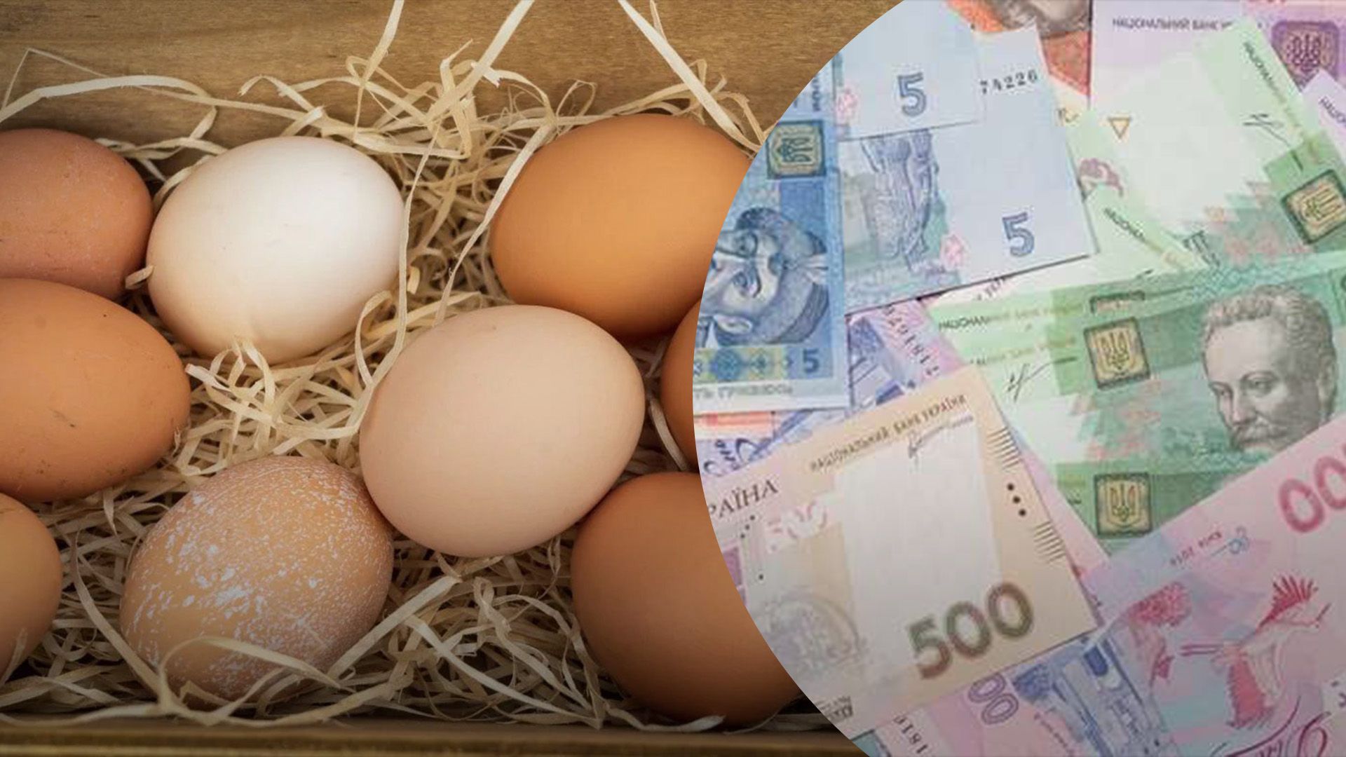 Почему сильно и быстро подорожали яйца Почему сильно и быстро подорожали яйца