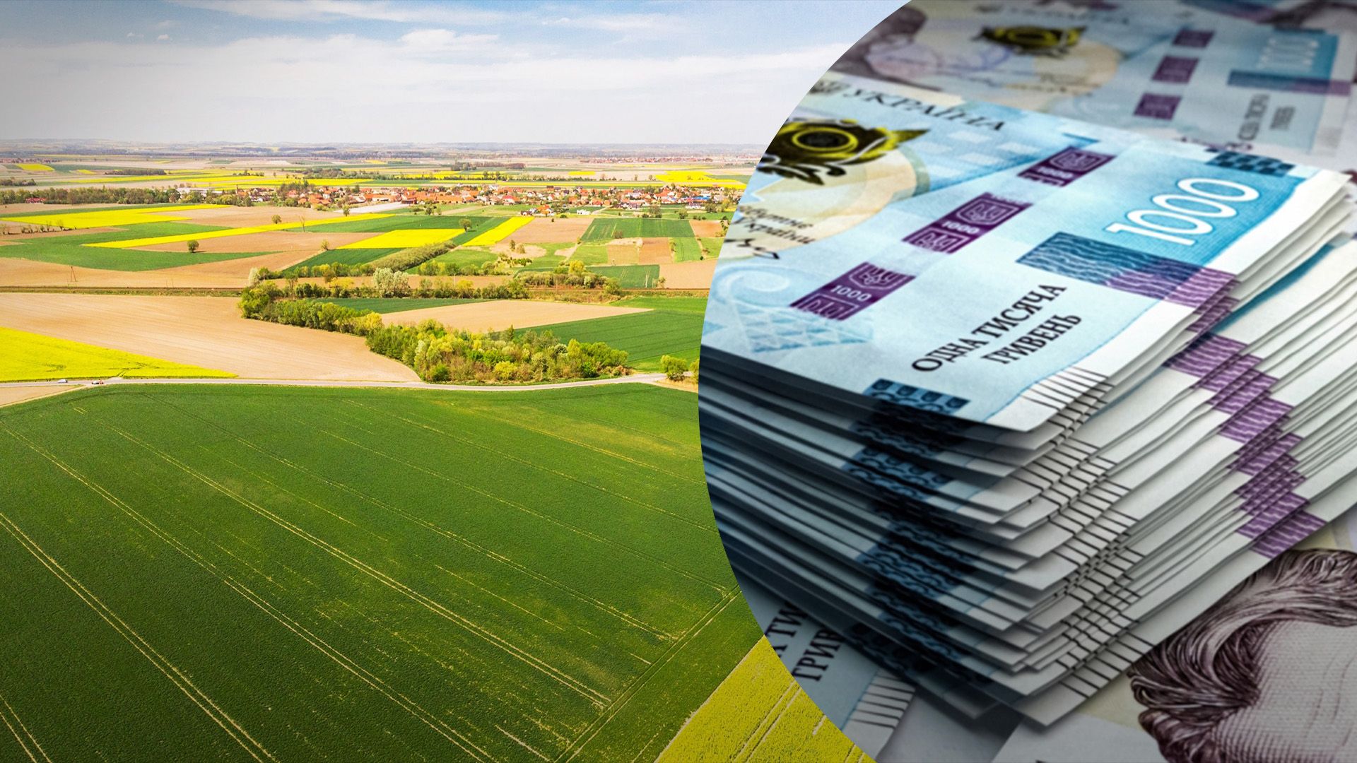 У рамках "Земельного банку" продали землі на 27 мільйонів гривень У рамках "Земельного банку" продали землі на 27 мільйонів гривень