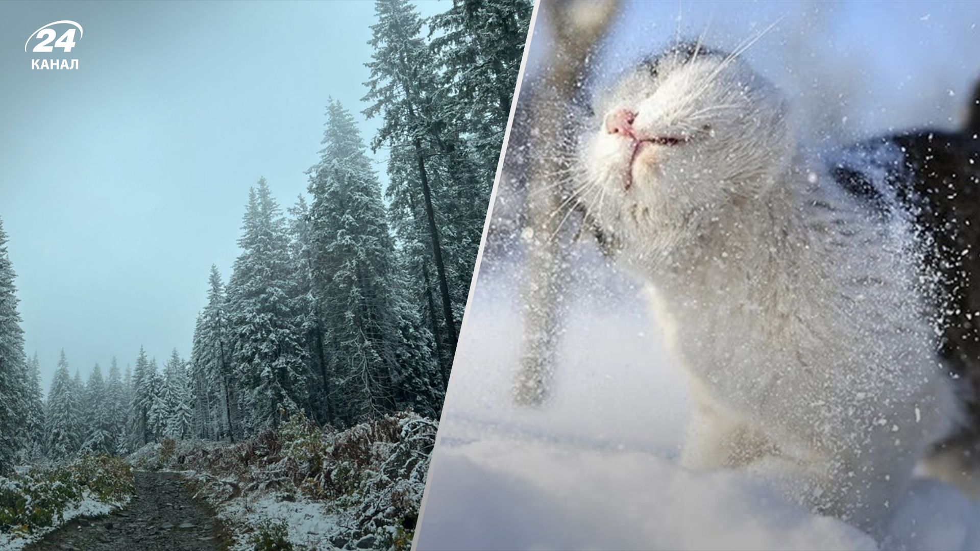 Дожди с мокрым снегом, а местами еще до +13: прогноз погоды на 19 ноября - 24 Канал Дожди с мокрым снегом, а местами еще до +13: прогноз погоды на 19 ноября - 24 Канал