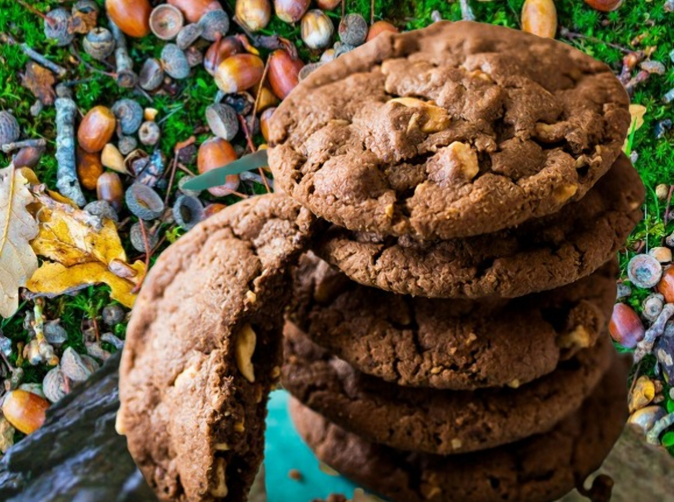 Можно ли желуди есть Можно ли желуди есть