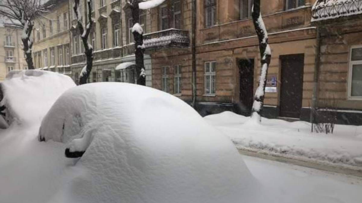 Сніг в Україні Сніг в Україні