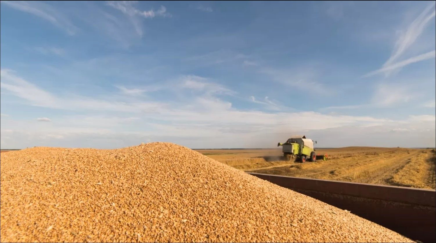 Экспорт Украины превысил показатели 2023 года Экспорт Украины превысил показатели 2023 года