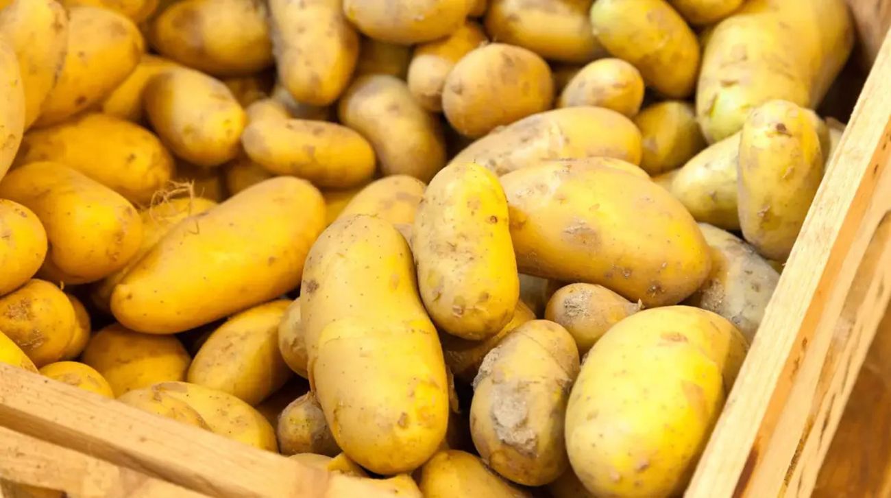 Цену на картофель стабилизировал импорт Цену на картофель стабилизировал импорт