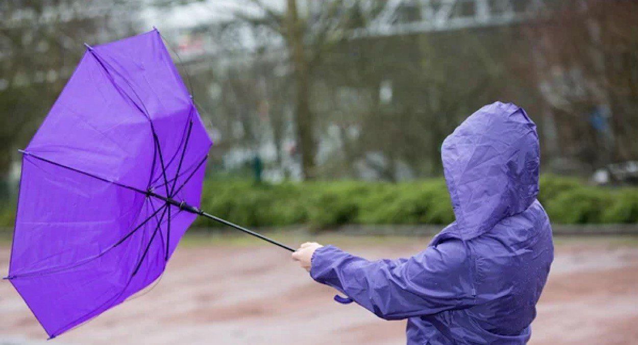 В Києві очікують сильні пориви вітру В Києві очікують сильні пориви вітру