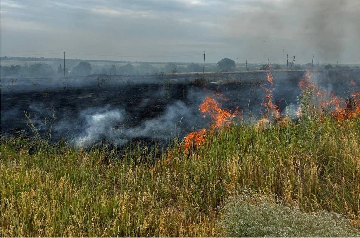 Россия продолжает наносить ущерб экологии Украины Россия продолжает наносить ущерб экологии Украины