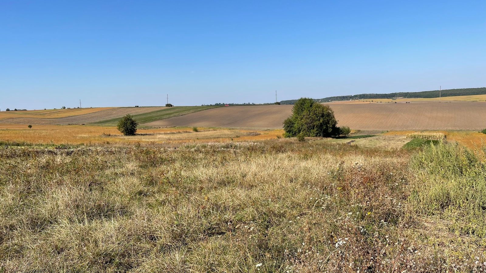 Мінімальний та максимальний розмір плати за оренду землі