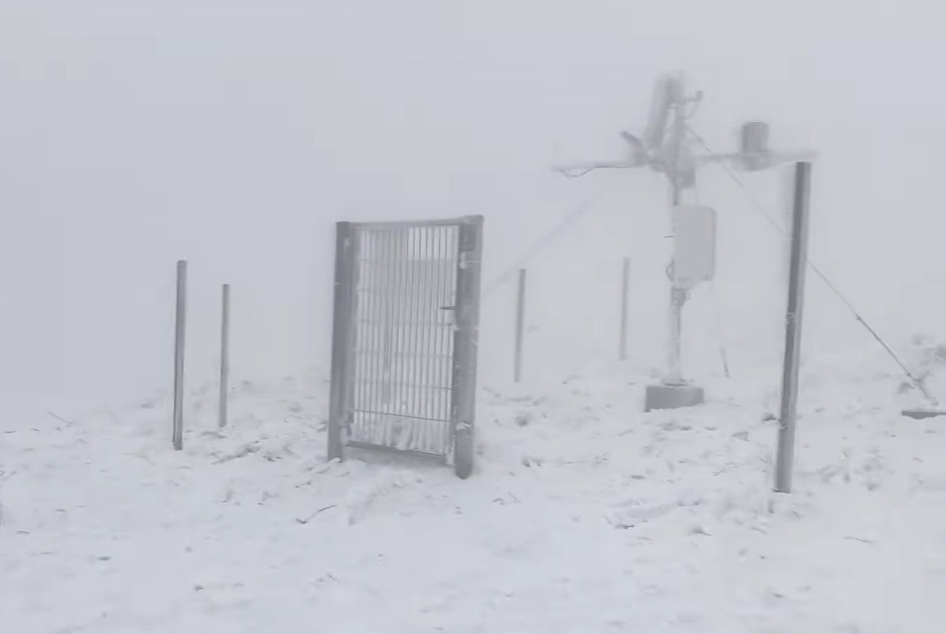 У Карпатах зафіксували сніговий шторм: апокаліптичне відео - 24 Канал У Карпатах зафіксували сніговий шторм: апокаліптичне відео - 24 Канал