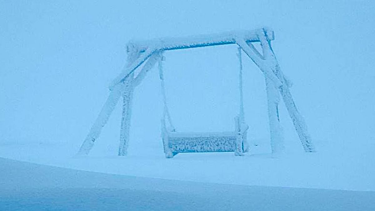 Сніг в Україні Сніг в Україні