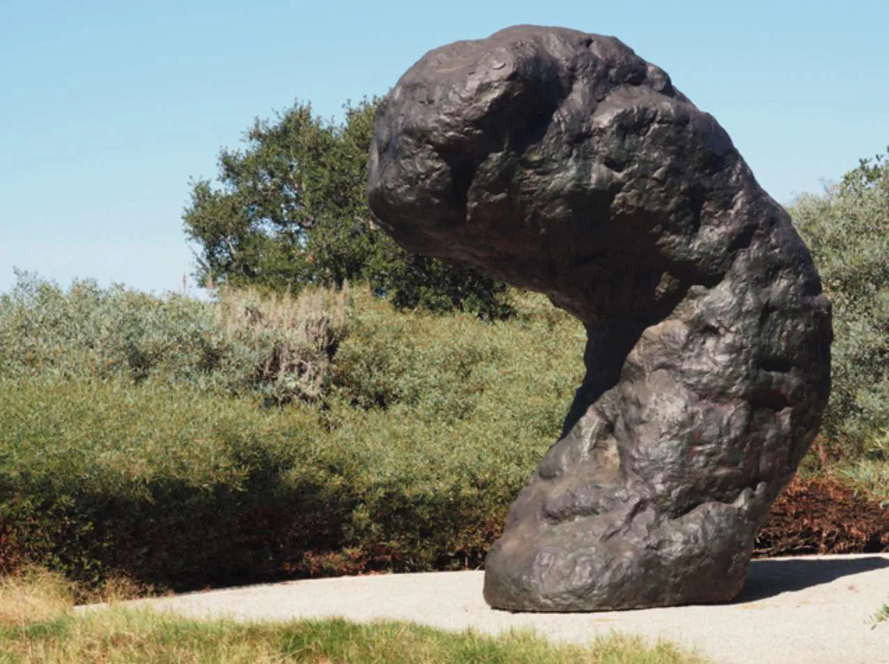 Пам'ятник, схожий на какашку Пам'ятник, схожий на какашку