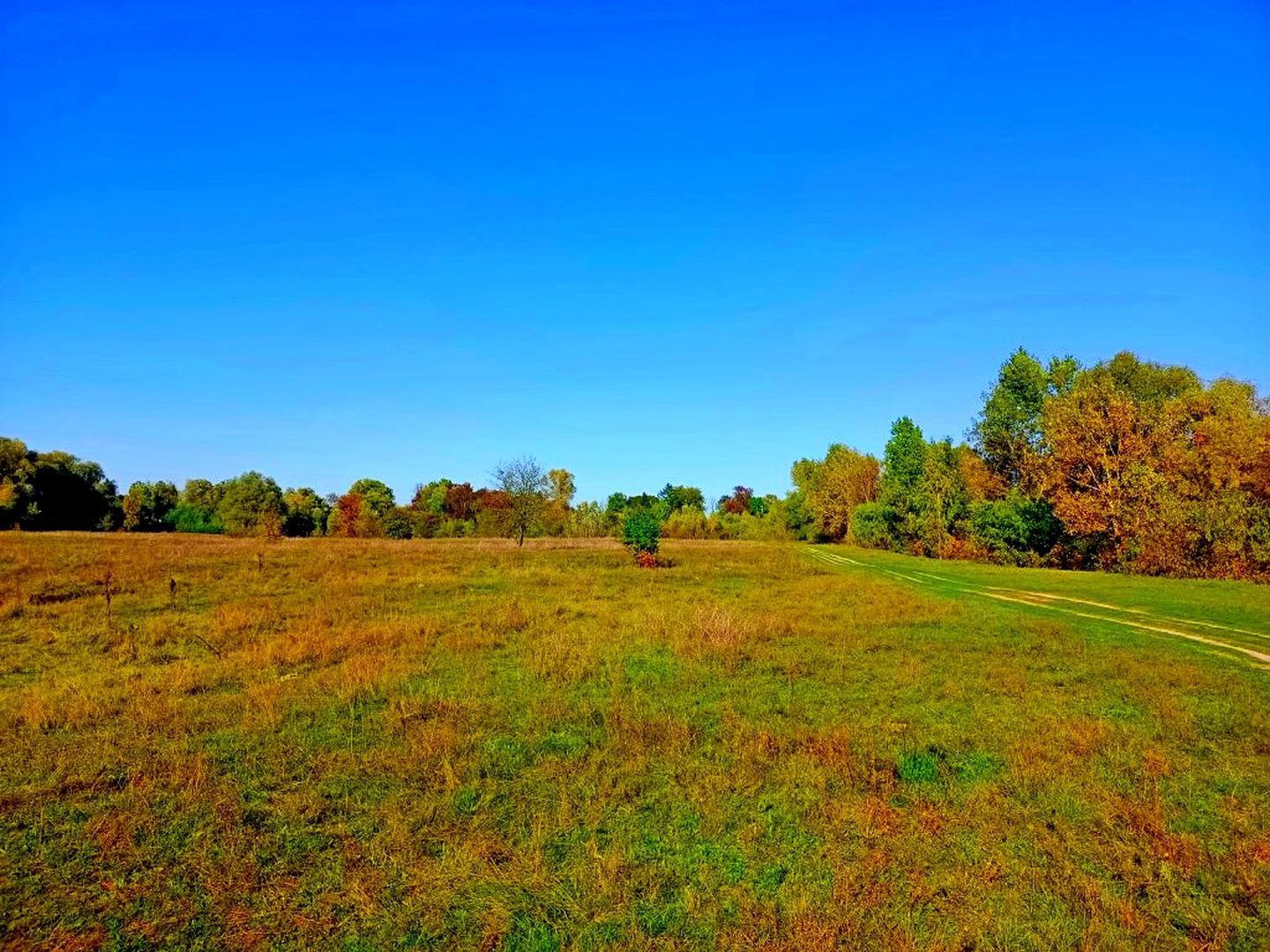 Як право власності на землю набувають юридичні особи Як право власності на землю набувають юридичні особи