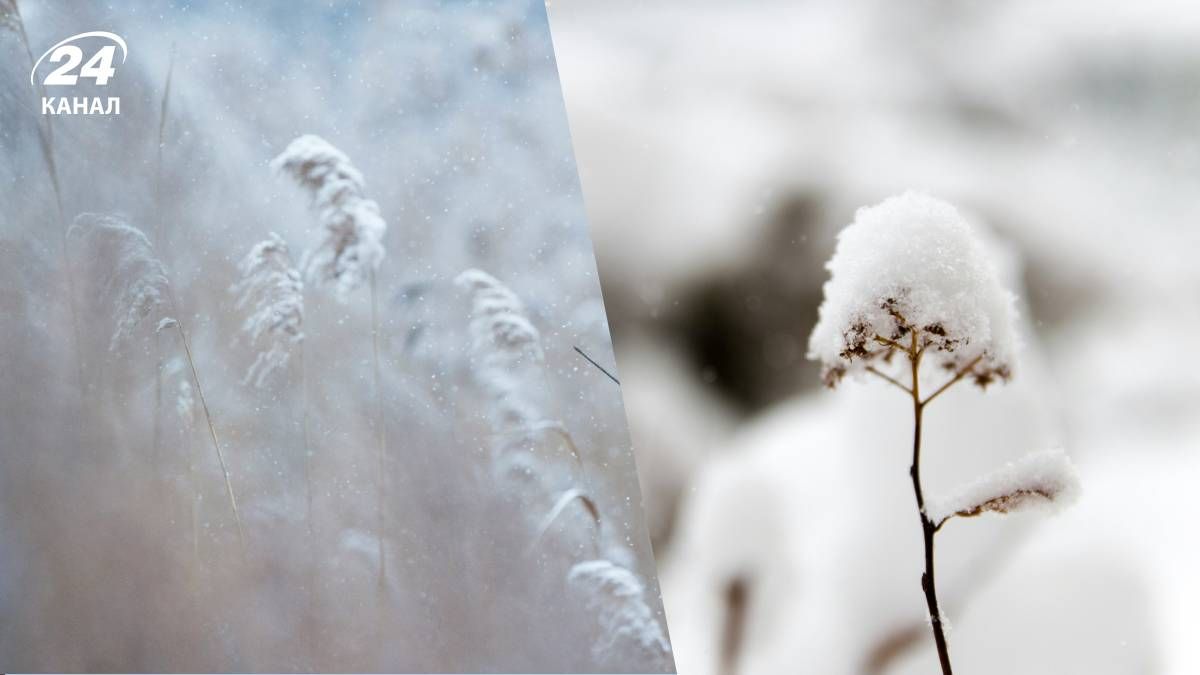 Погода на 22 ноября - 24 Канал Погода на 22 ноября - 24 Канал