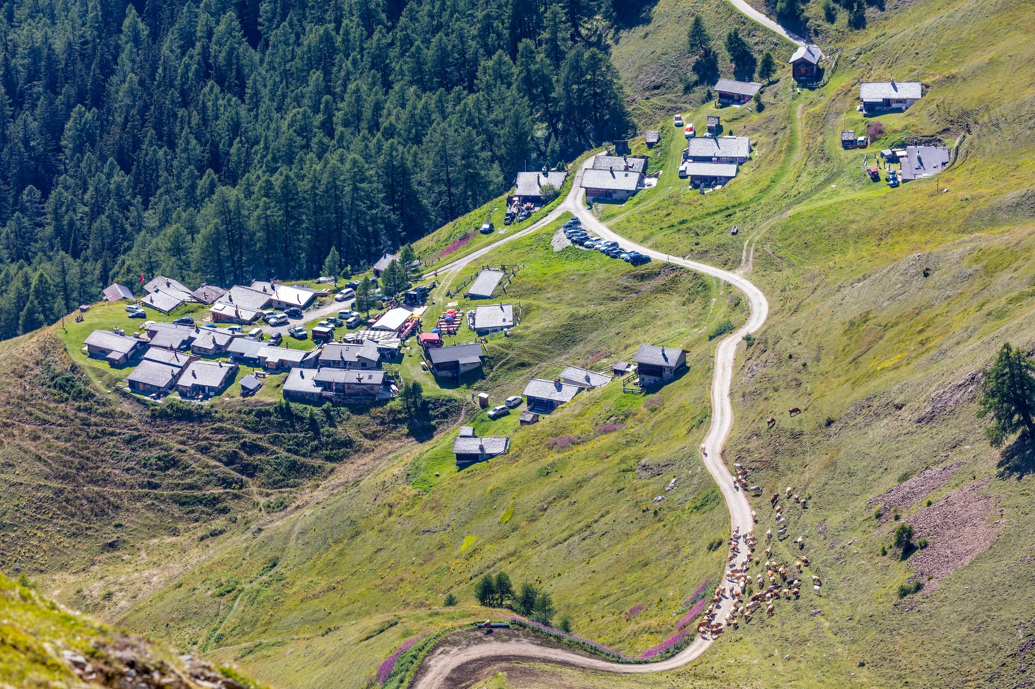 Селище Альбінен у Швейцарських Альпах Селище Альбінен у Швейцарських Альпах