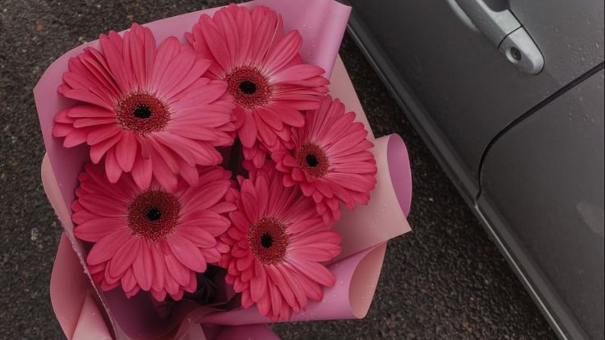 Что будет, если подарить четное количество цветов Что будет, если подарить четное количество цветов