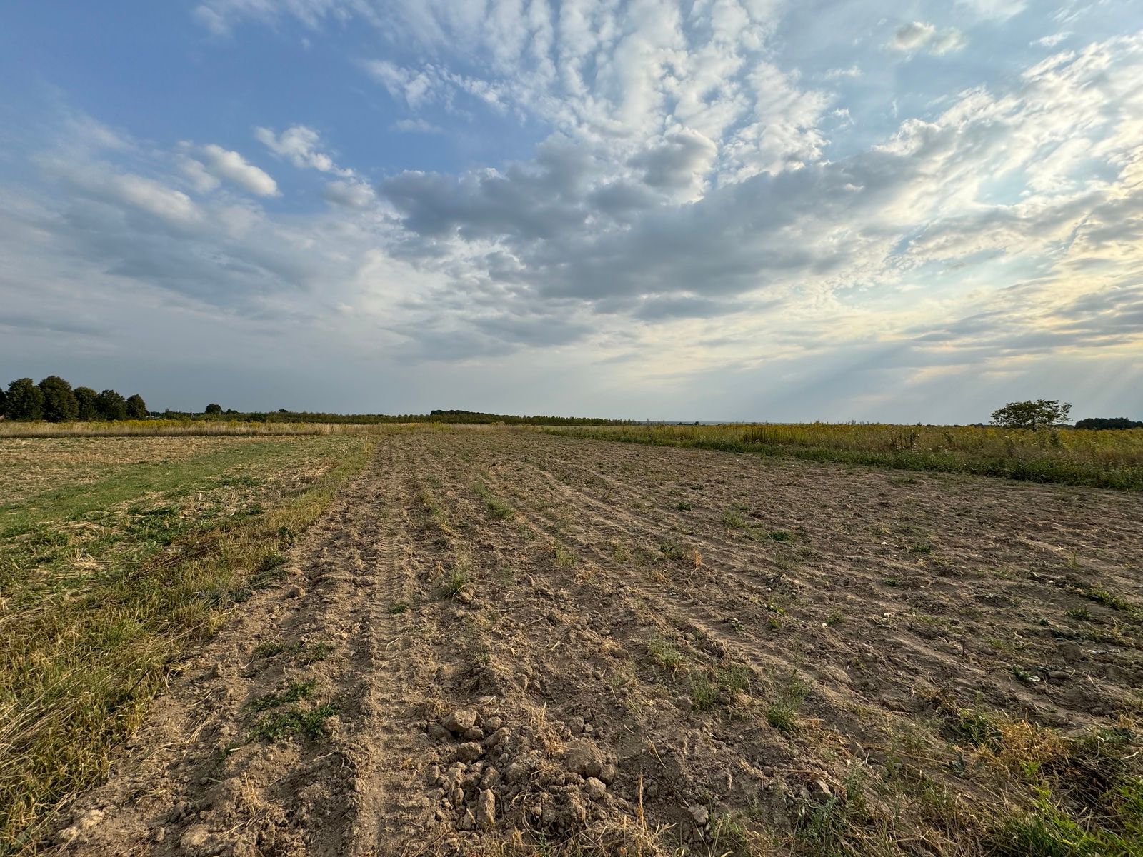 Какие документы должен иметь владелец земли Какие документы должен иметь владелец земли