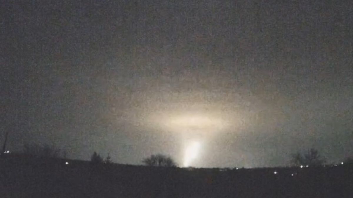 Кедр и Орешник - характеристика Кедр и Орешник - характеристика