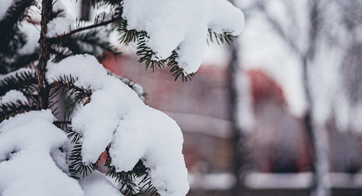 У Києві пішов сніг У Києві пішов сніг