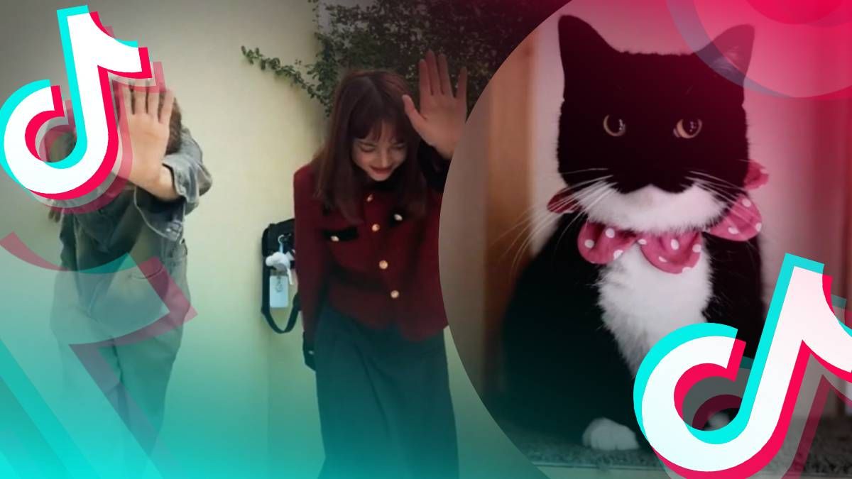 Тренд в тиктоке под названием "Wait" Тренд в тиктоке под названием "Wait"