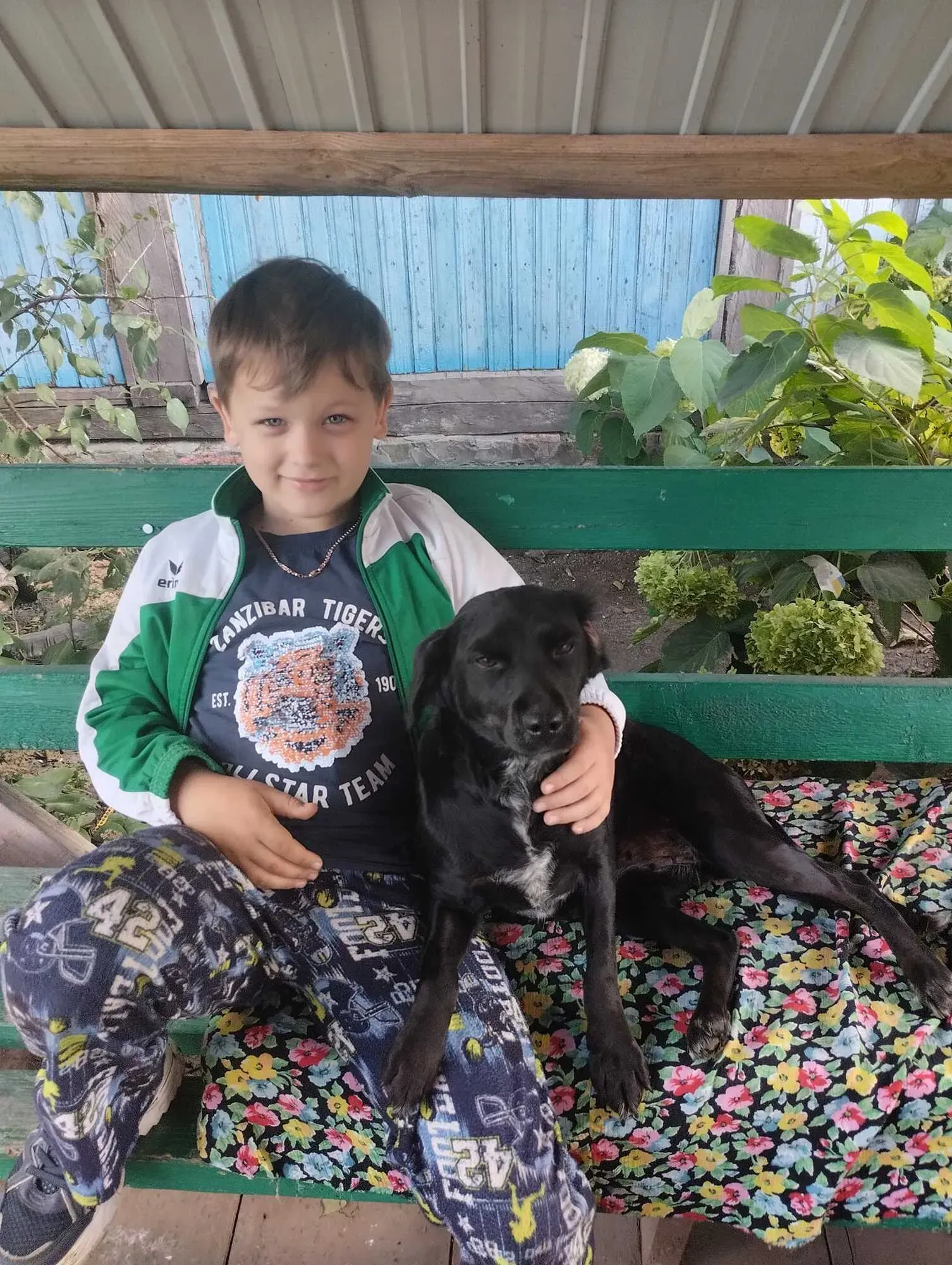 Микиту Чалого вбив Шахед у Глухові Микиту Чалого вбив Шахед у Глухові