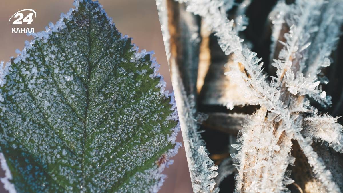 Погода на 24 ноября - 24 Канал Погода на 24 ноября - 24 Канал