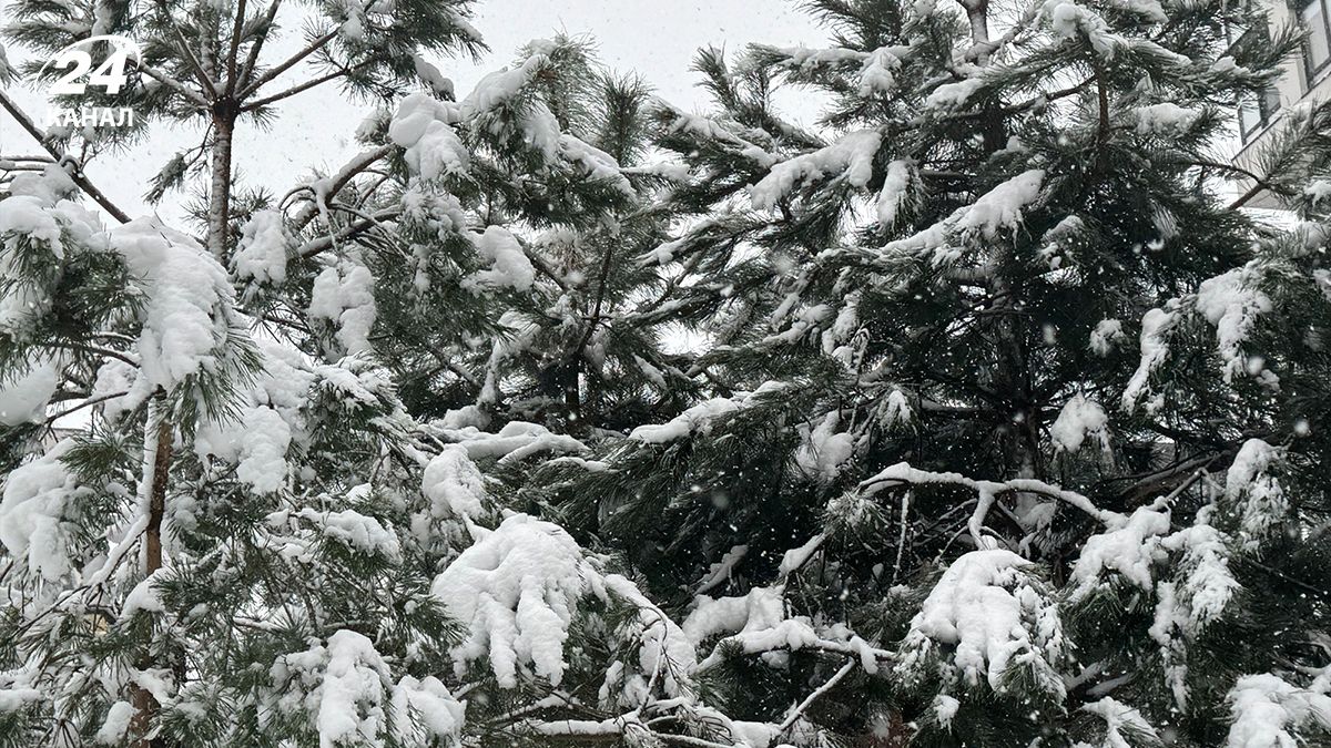 Сніг в Україні Сніг в Україні