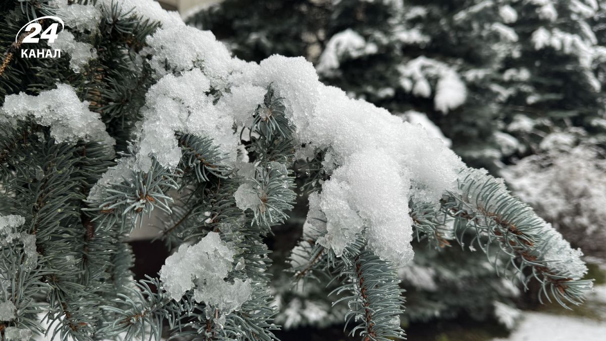 Зима в Україні Зима в Україні