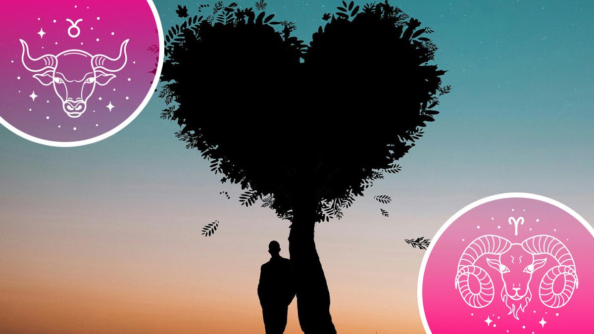 Хто шукатиме кохання у 2025 році - любовний гороскоп Хто шукатиме кохання у 2025 році - любовний гороскоп