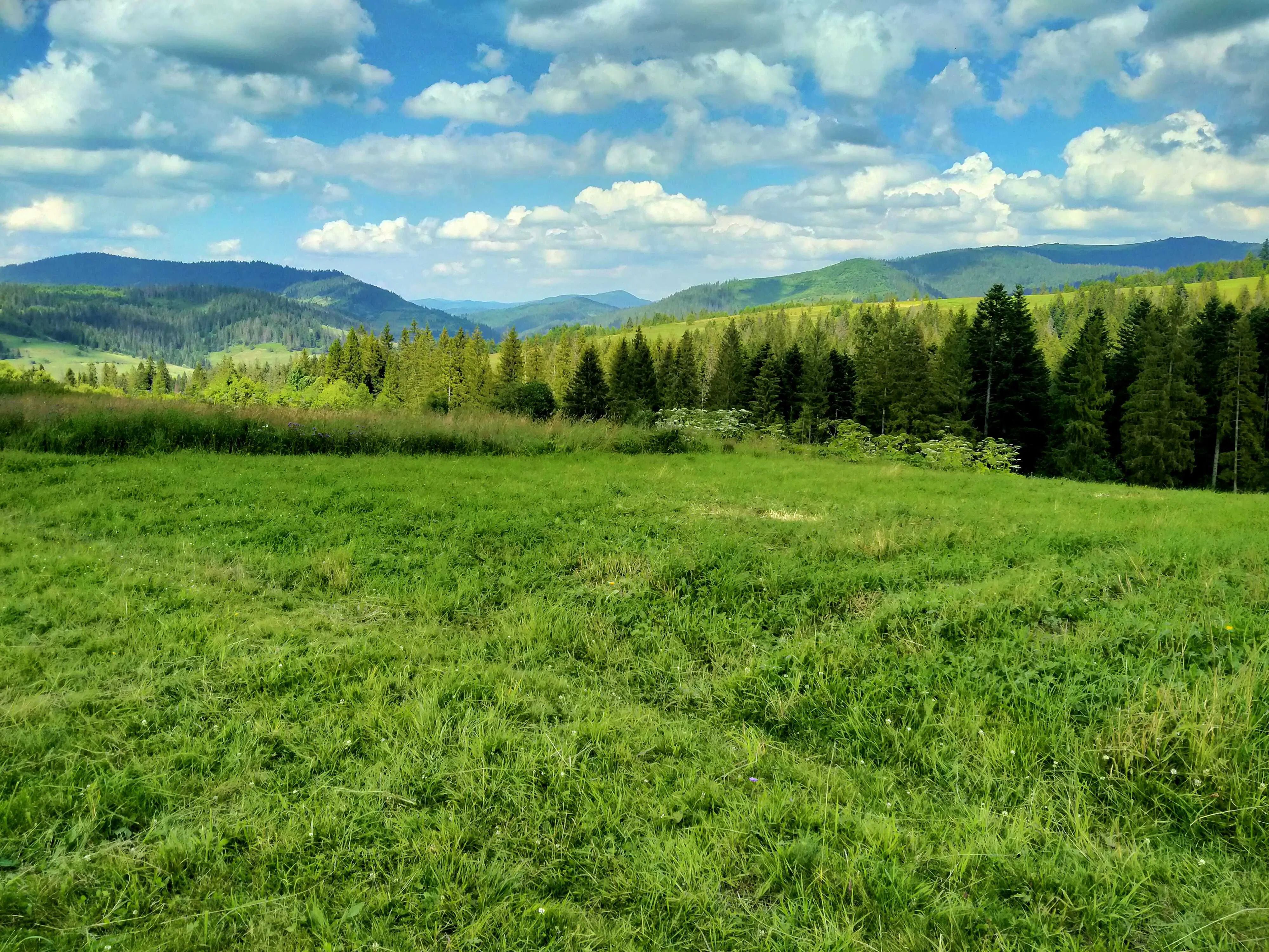 Скільки коштує земля у листопаді Скільки коштує земля у листопаді