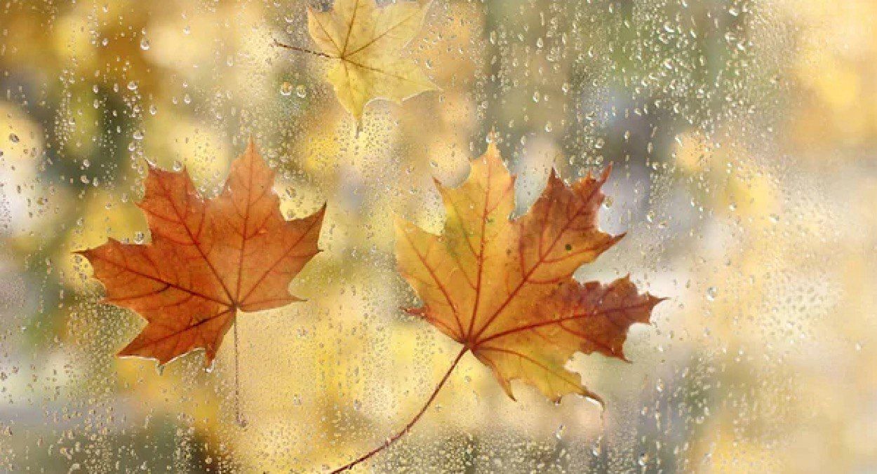 Холодно, но без непогоды: прогноз погоды в Украине на 26 ноября - 24 Канал Холодно, но без непогоды: прогноз погоды в Украине на 26 ноября - 24 Канал