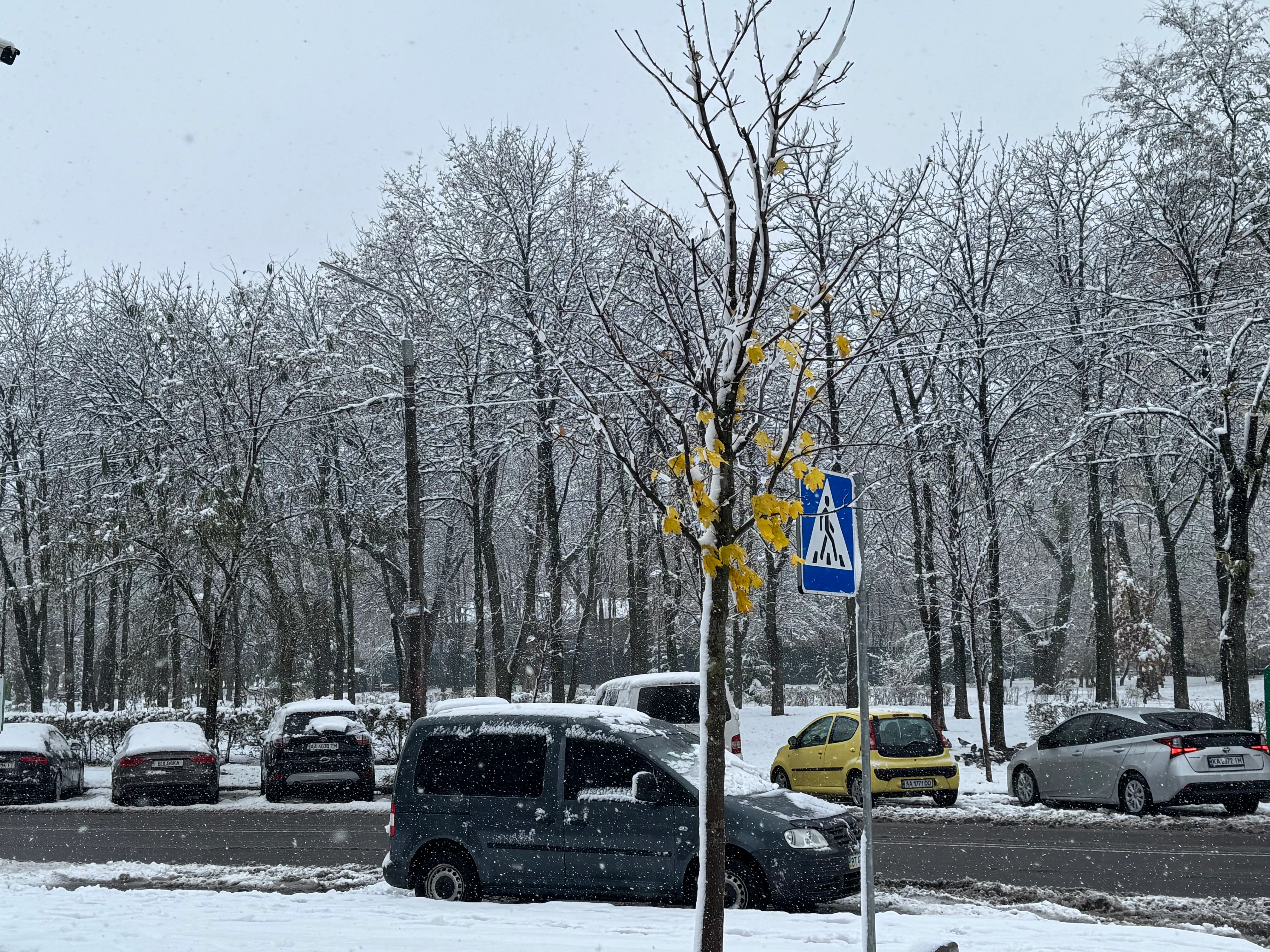 Сніг в Україні Сніг в Україні