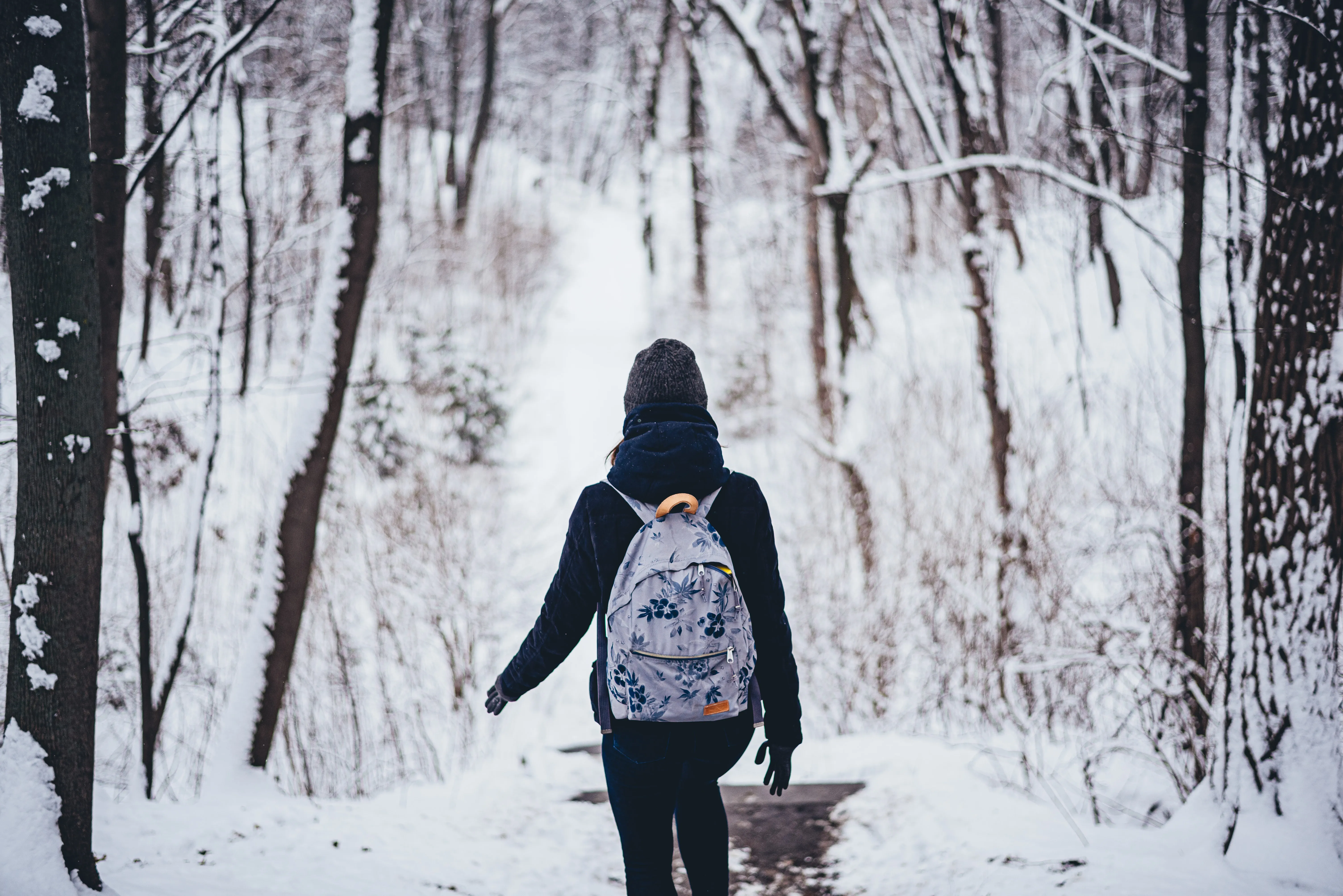 Зима в Україні Зима в Україні