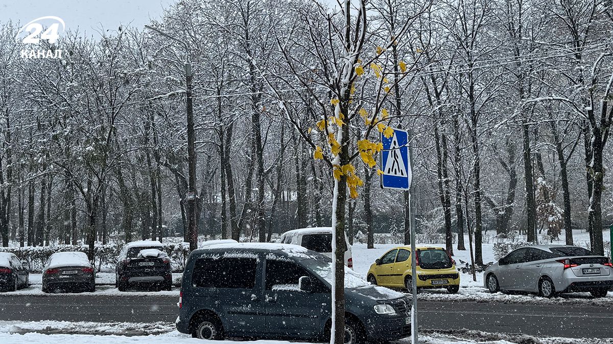 Сніг в Україні Сніг в Україні