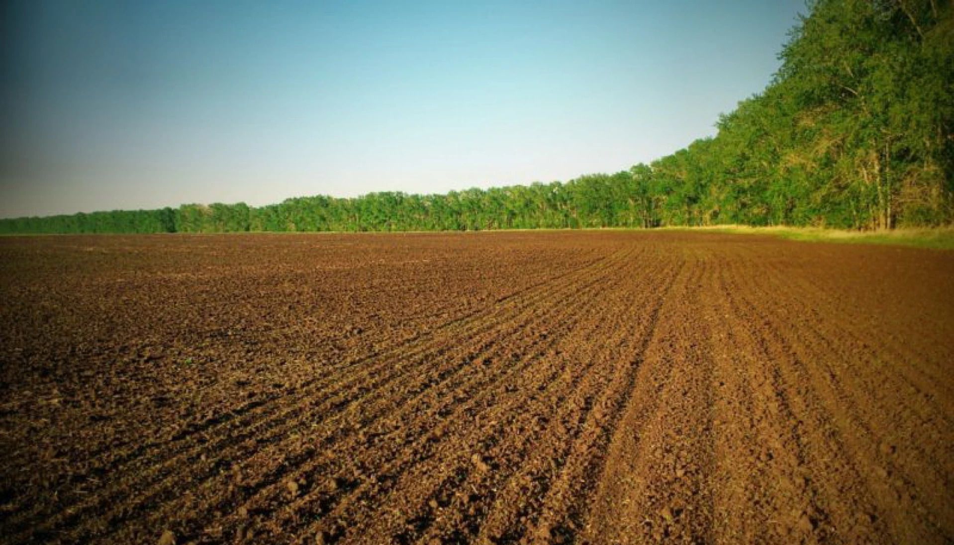 Скільки коштує переоформити пай Скільки коштує переоформити пай
