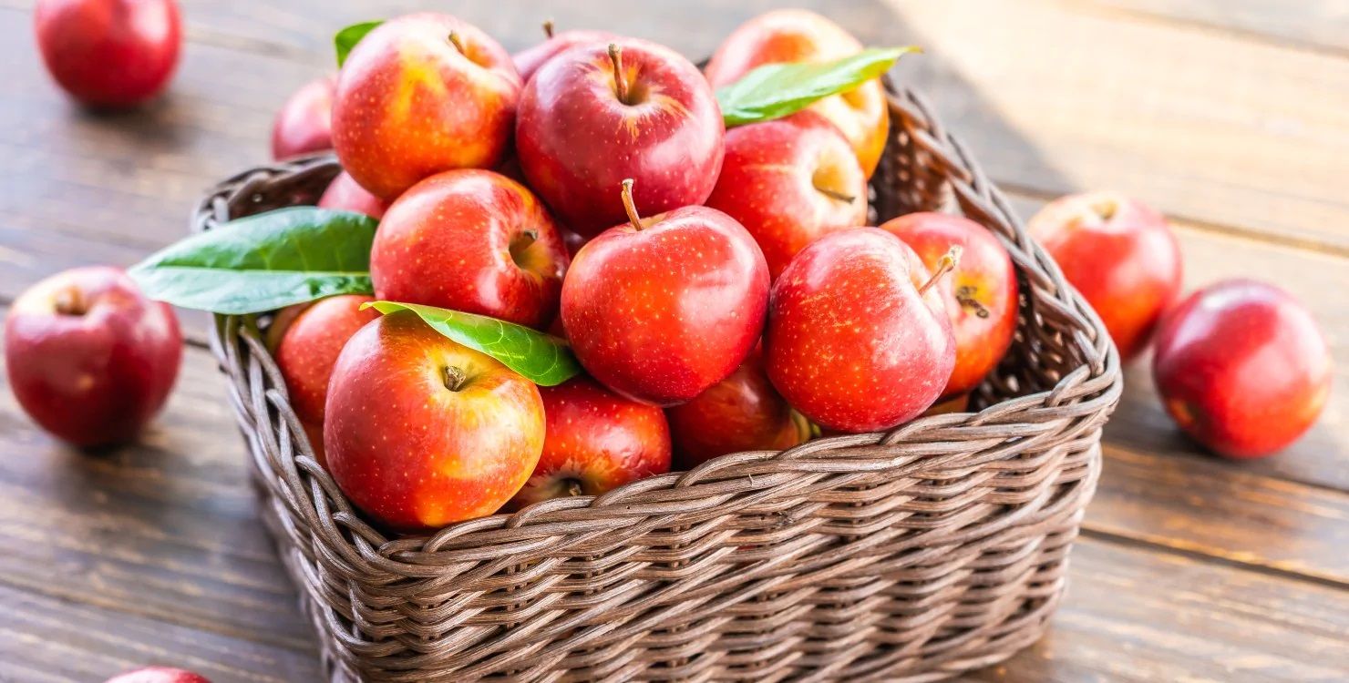 Які сорти яблук найпопулярніші на експорт Які сорти яблук найпопулярніші на експорт