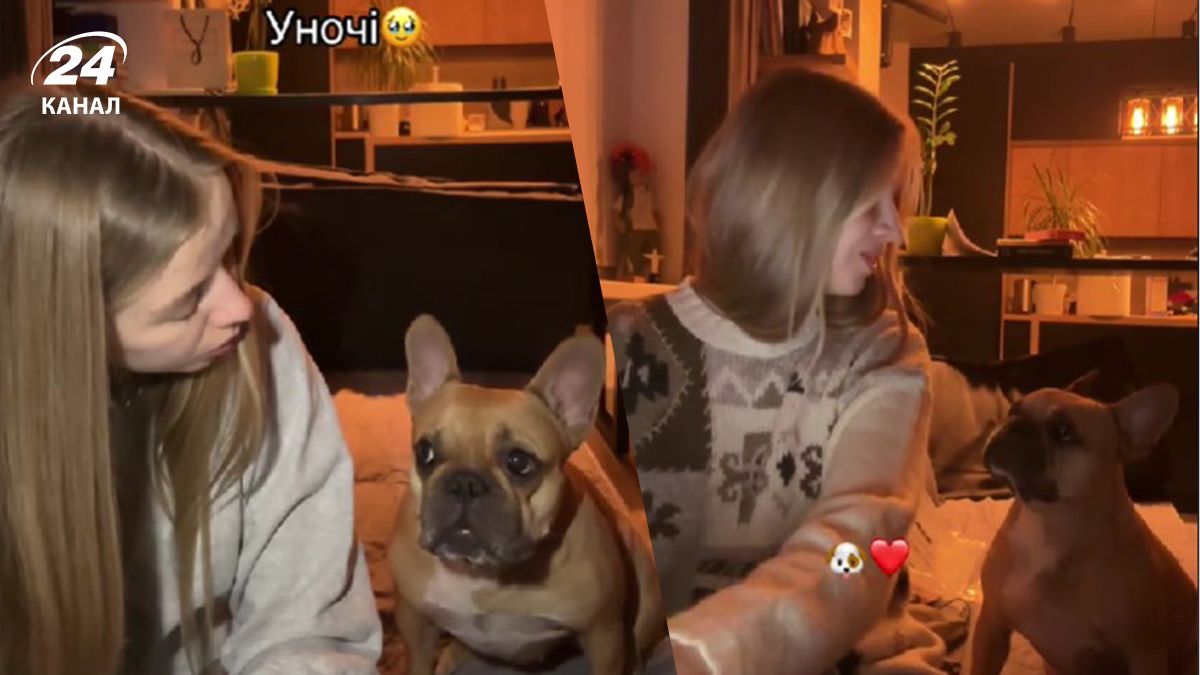 Французский бульдог покорил сеть своим пением - видео Французский бульдог покорил сеть своим пением - видео