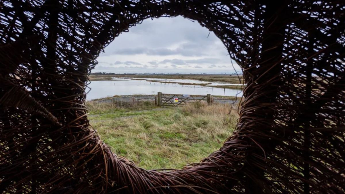 У Британії встановили кумедну скульптуру у вигляді какашки У Британії встановили кумедну скульптуру у вигляді какашки